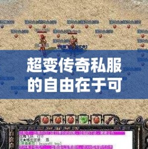 超变传奇私服的自由在于可以随意选择游戏
