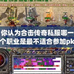 你认为合击传奇私服哪一个职业是最不适合参加pk战斗的呢？
