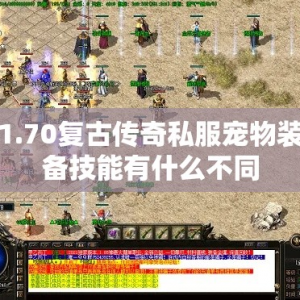 1.70复古传奇私服宠物装备技能有什么不同