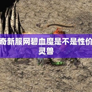 传奇新服网碧血魔是不是性价比灵兽