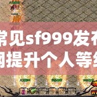 常见sf999发布网提升个人等级一些攻击要点