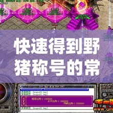 快速得到野猪称号的常见方法