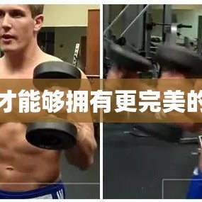 如何才能够拥有更完美的队伍