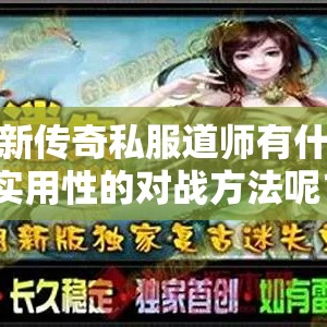 最新传奇私服道师有什么实用性的对战方法呢？