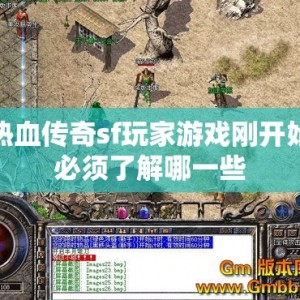 热血传奇sf玩家游戏刚开始必须了解哪一些