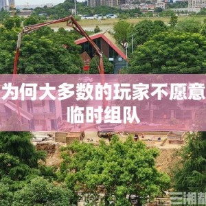 为何大多数的玩家不愿意临时组队