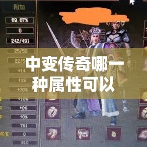 中变传奇哪一种属性可以让道士更厉害？