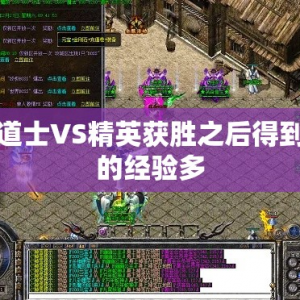 道士VS精英获胜之后得到的经验多