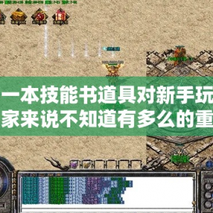 一本技能书道具对新手玩家来说不知道有多么的重要