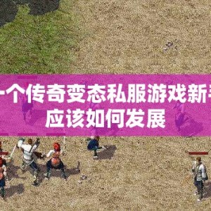 一个传奇变态私服游戏新手应该如何发展
