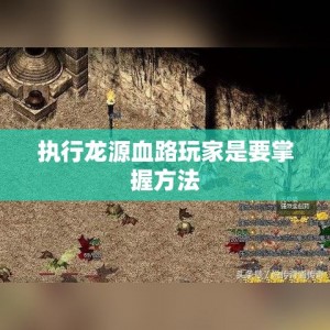 执行龙源血路玩家是要掌握方法
