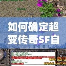 如何确定超变传奇SF自身的充值金额