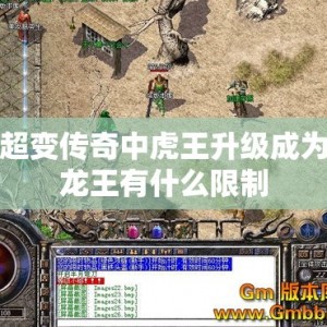超变传奇中虎王升级成为龙王有什么限制