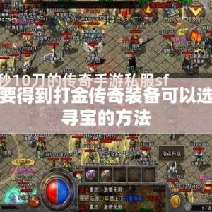 想要得到打金传奇装备可以选择寻宝的方法