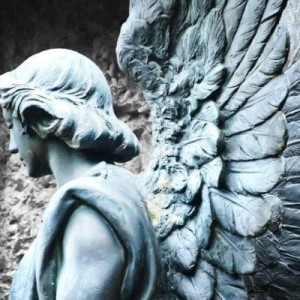 幽冥之谜：探寻失落已久的神秘翅膀