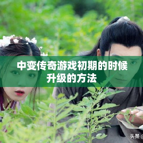 中变传奇游戏初期的时候升级的方法