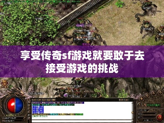 享受传奇sf游戏就要敢于去接受游戏的挑战