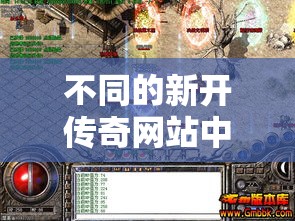 不同的新开传奇网站中变游戏有不同的装备可选