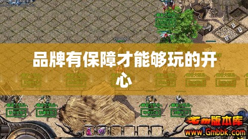 品牌有保障才能够玩的开心