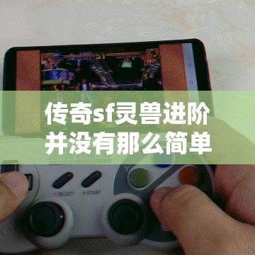 传奇sf灵兽进阶并没有那么简单