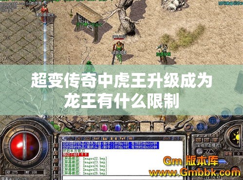 超变传奇中虎王升级成为龙王有什么限制