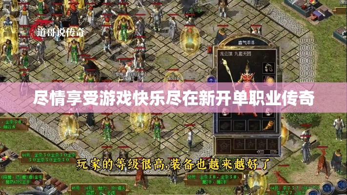 尽情享受游戏快乐尽在新开单职业传奇