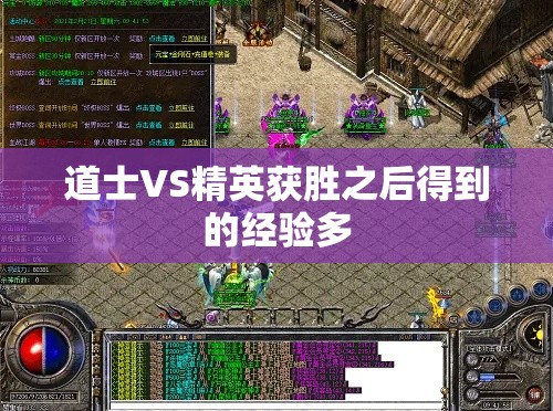 道士VS精英获胜之后得到的经验多