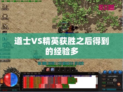 道士VS精英获胜之后得到的经验多