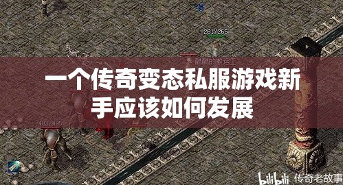 一个传奇变态私服游戏新手应该如何发展