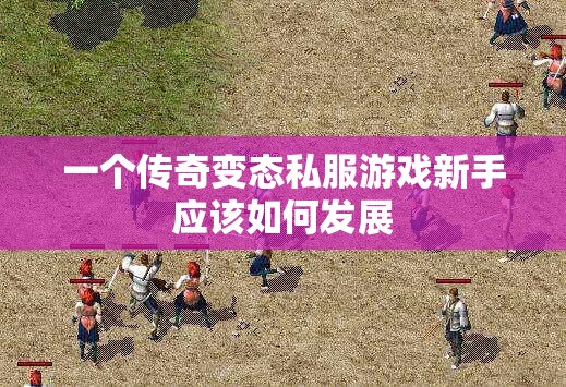 一个传奇变态私服游戏新手应该如何发展