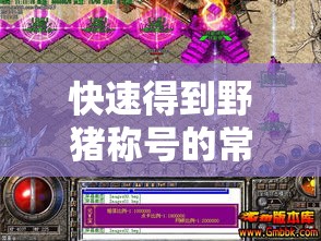 快速得到野猪称号的常见方法