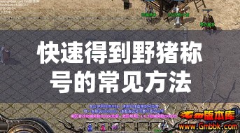 快速得到野猪称号的常见方法
