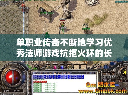 单职业传奇不断地学习优秀法师游戏抗拒火环的长处