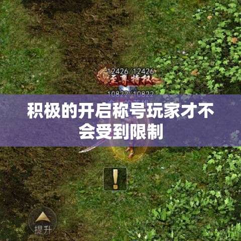 积极的开启称号玩家才不会受到限制