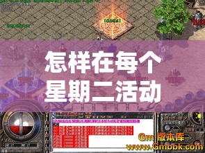 怎样在每个星期二活动中收获满满