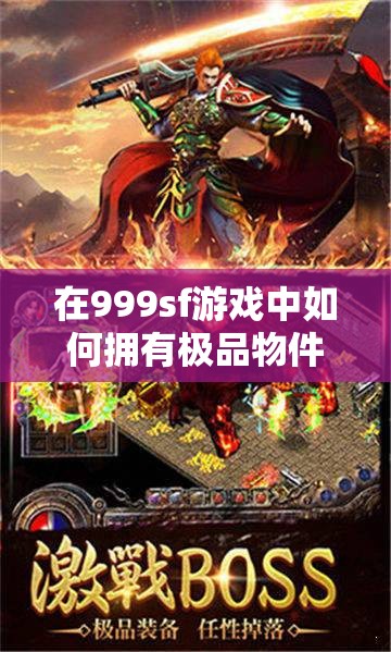 在999sf游戏中如何拥有极品物件