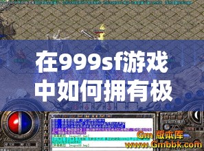 在999sf游戏中如何拥有极品物件