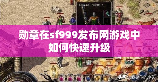 勋章在sf999发布网游戏中如何快速升级