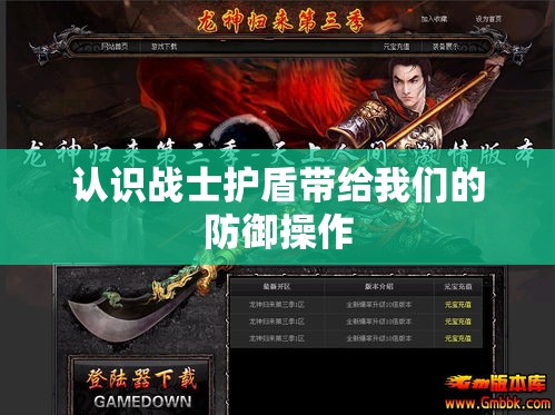 认识战士护盾带给我们的防御操作