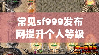 常见sf999发布网提升个人等级一些攻击要点