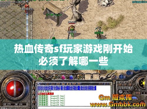 热血传奇sf玩家游戏刚开始必须了解哪一些