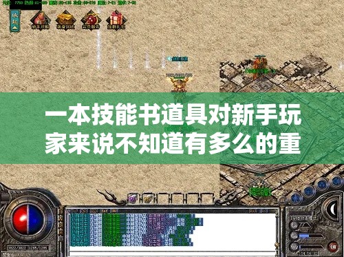 一本技能书道具对新手玩家来说不知道有多么的重要