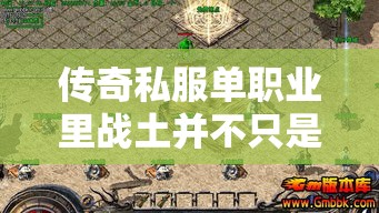 传奇私服单职业里战土并不只是生存力强