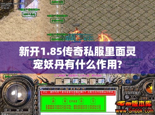 新开1.85传奇私服里面灵宠妖丹有什么作用?