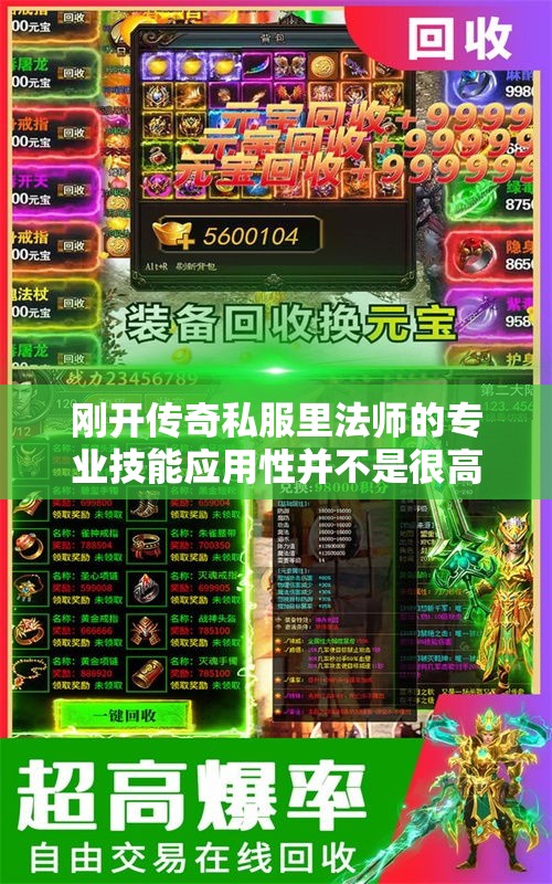 刚开传奇私服里法师的专业技能应用性并不是很高吗